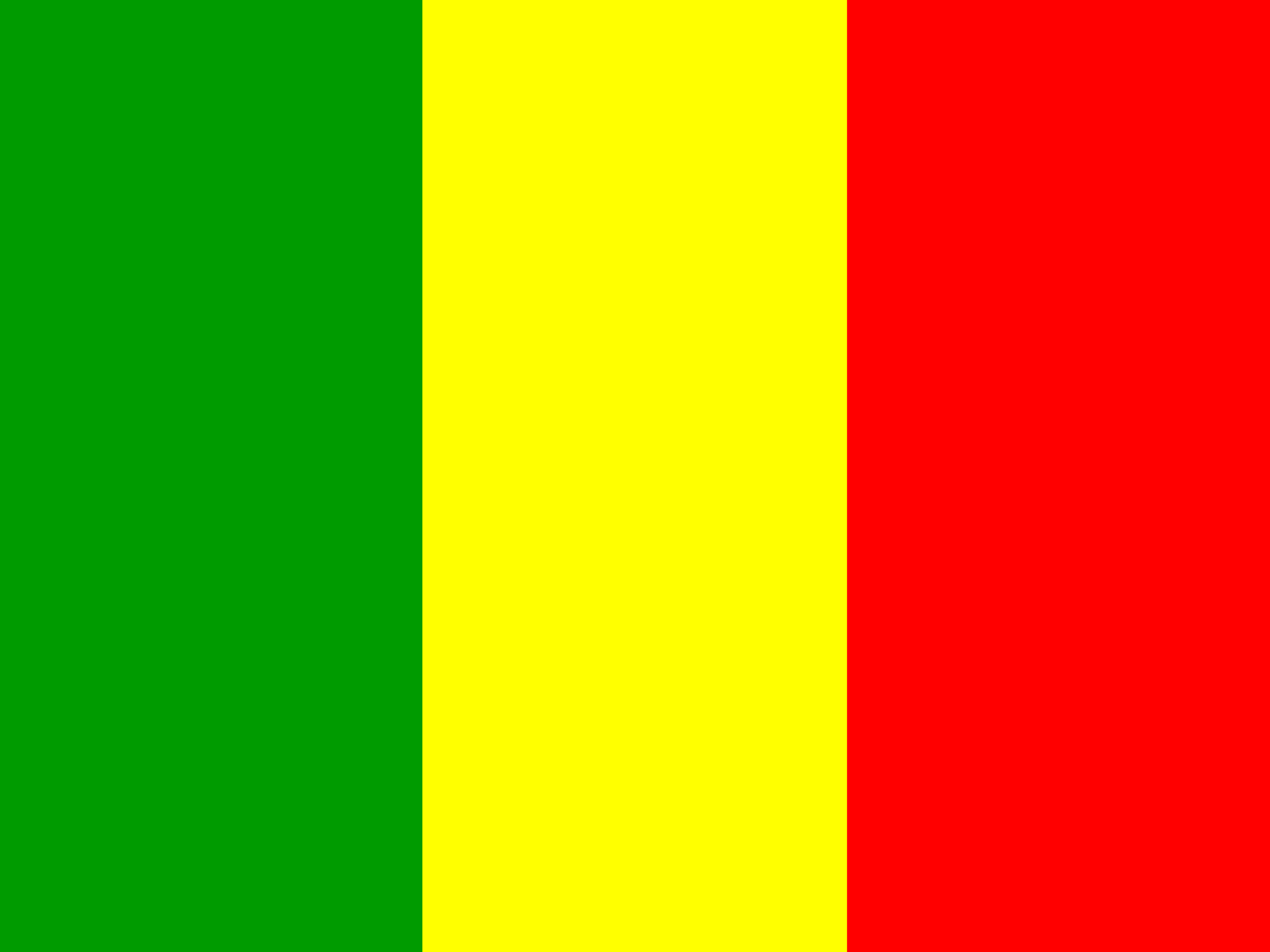 Mali vlag