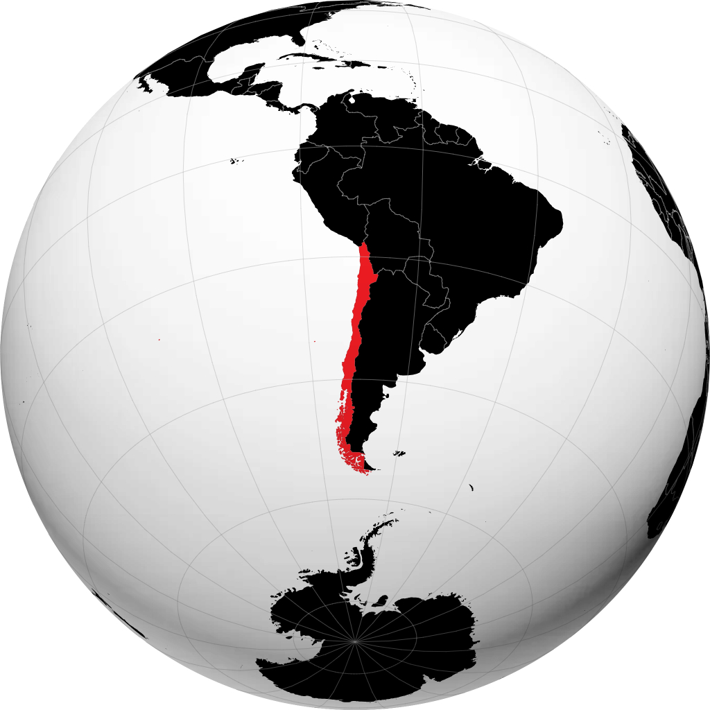 Chili op de globe